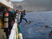 Come Toe to Tail With One of Earth’s Most Intelligent Species